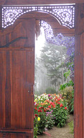 Foggy Path