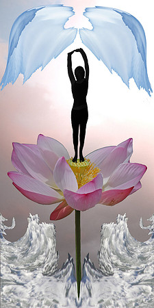 Dance of Life