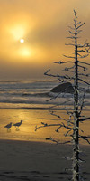 Day's End