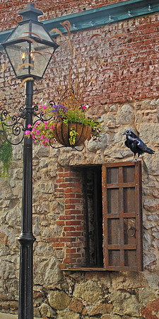 Cafe Window