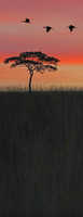 Sunset Tree