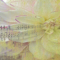 Music Joy
