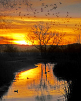 Flyway Sunset
