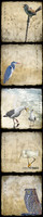 Bird-Wise Panel IV