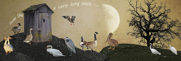 ... looks like a very long wait ...