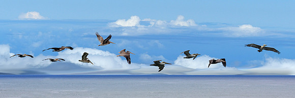 Blue Horizon
