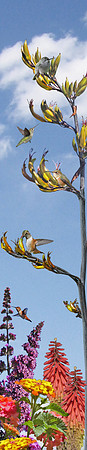 Bird Tree - The Humming Tree