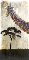Giraffe and Tree
