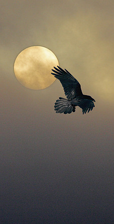 Flight of Power