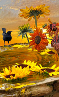 Sunflower Fountain