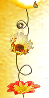 Spiral Plus