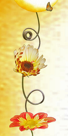 Spiral Plus
