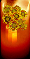 FLORA