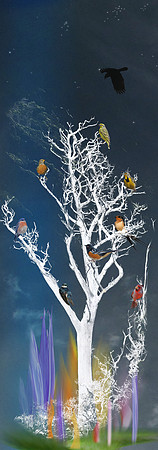 Bird Tree Colorful Realm