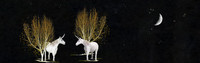 Unicorn Moon