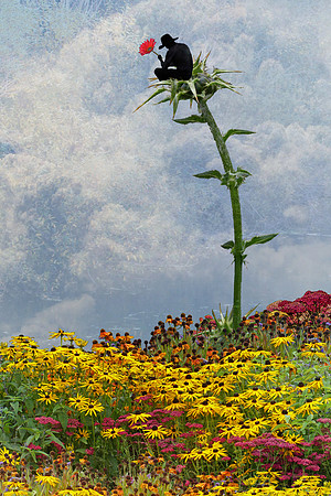 above the field