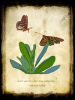 QUOTABLES