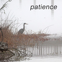 patience