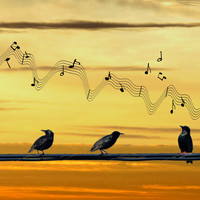 comes the dawn